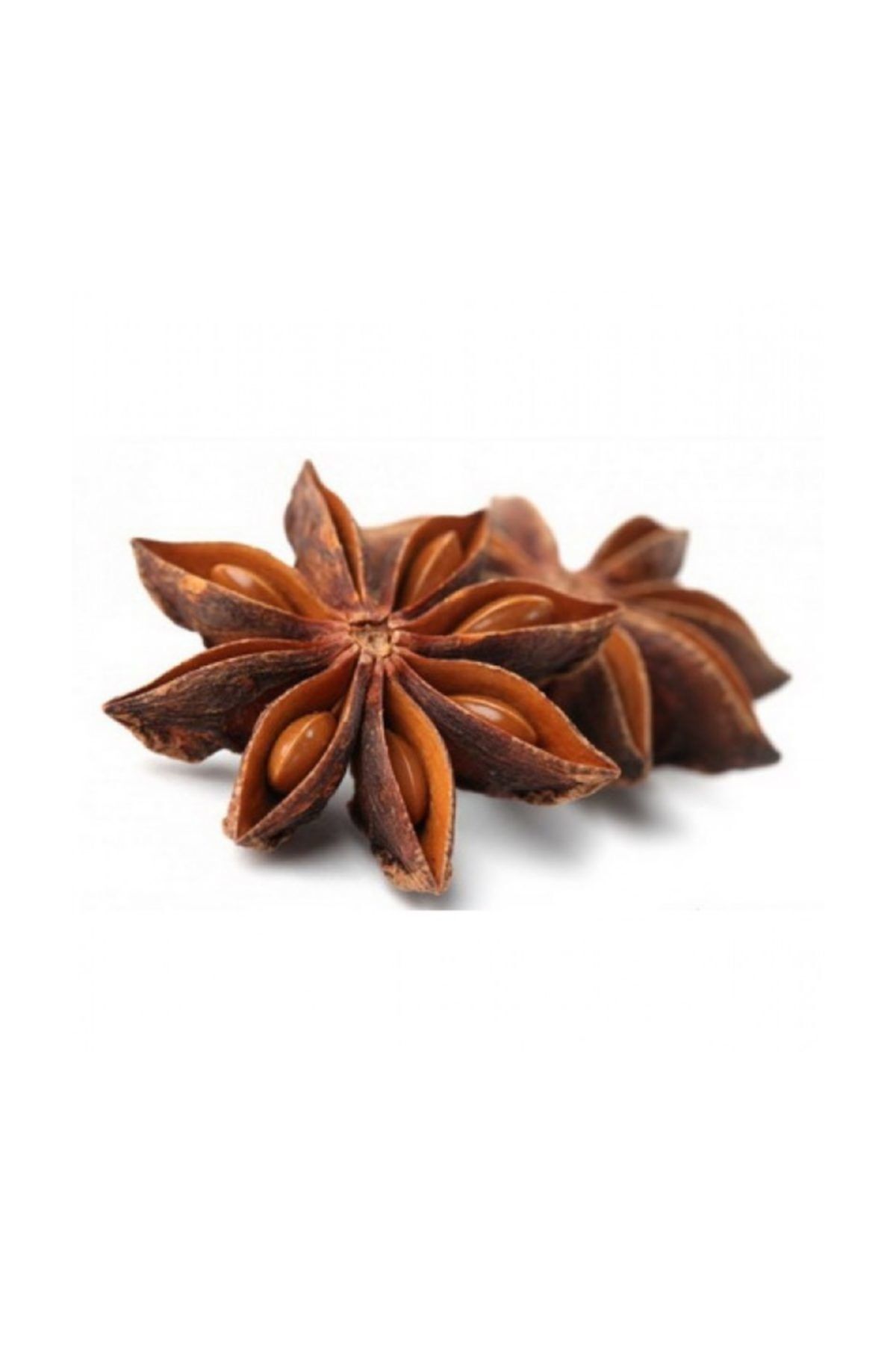 Yıldız Anason 100 gr