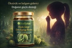 Damla Sakızlı Çam Kozalağı Macunu